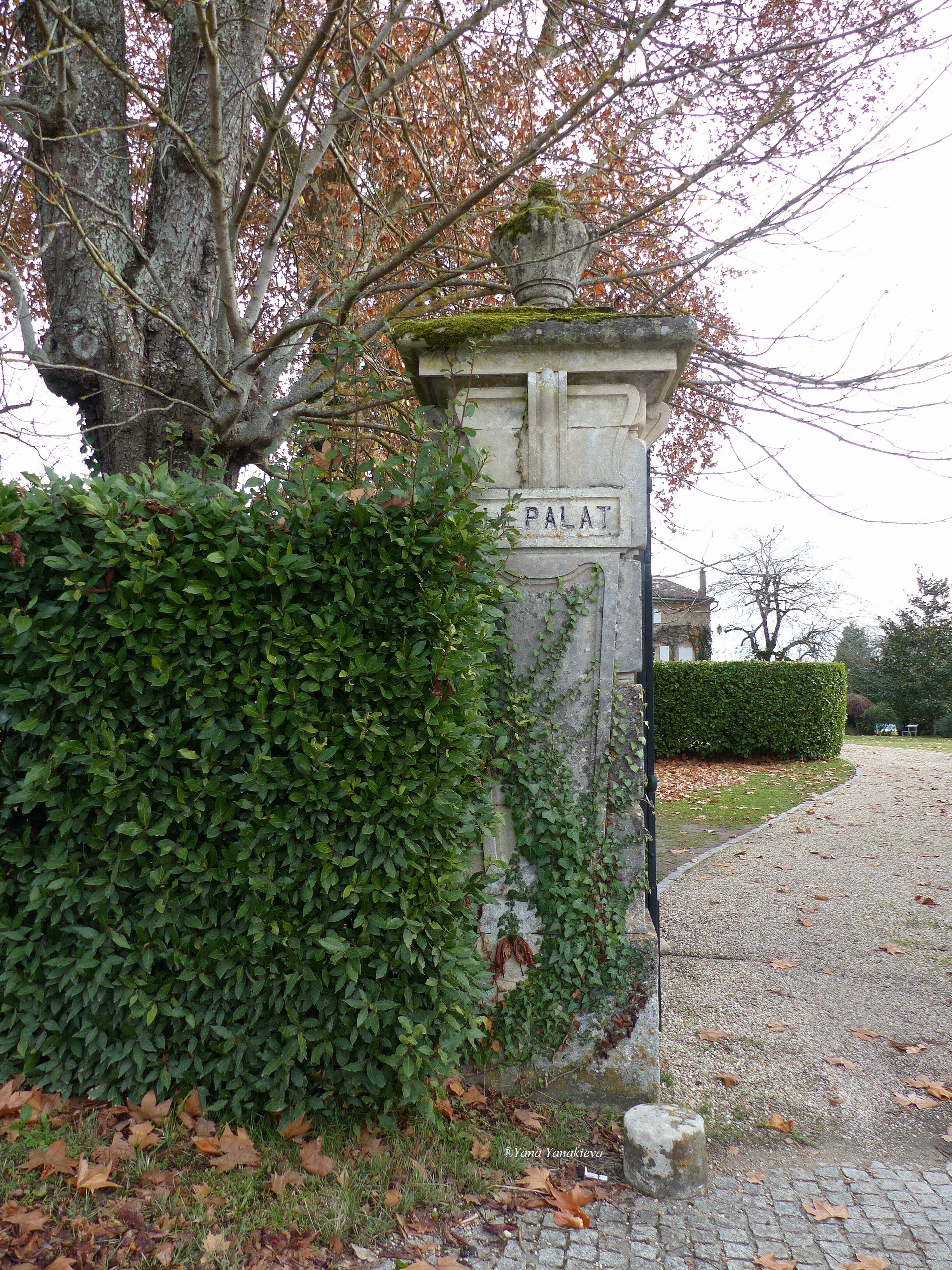 The entry to the place called "THE PALAT"