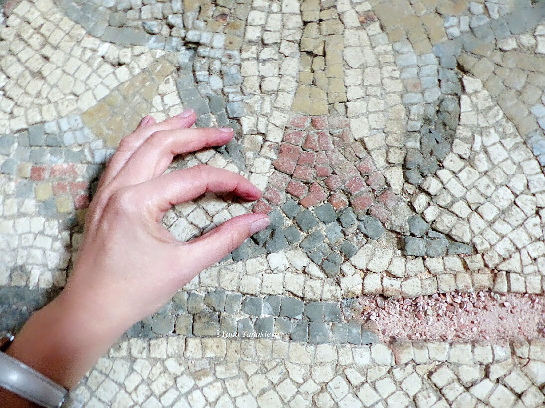 With the little tesserae, a piece of the mosaic "TO THE SWASTIKAS", 27/11/18