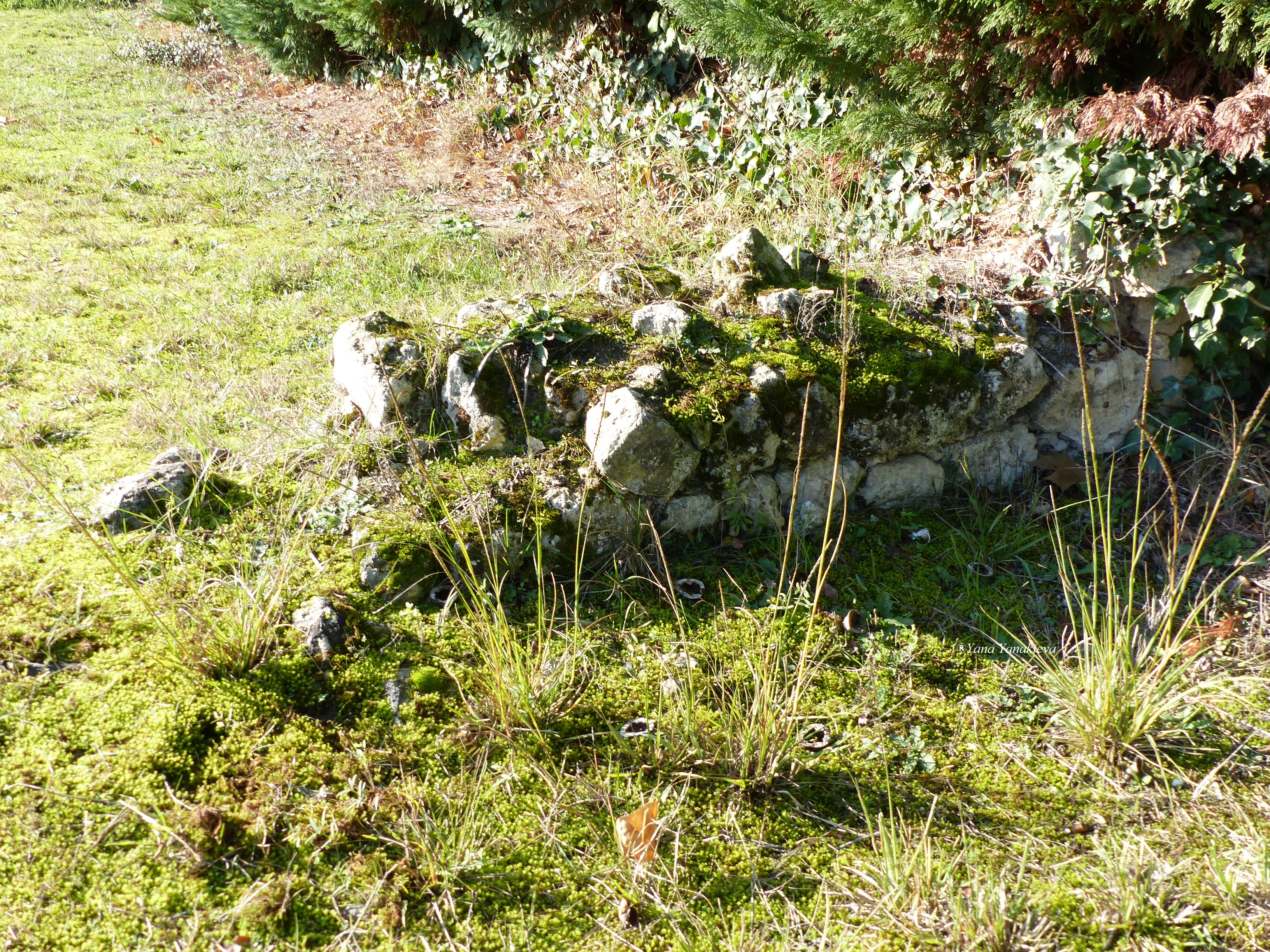 Another part of the remains, 27/11/18
