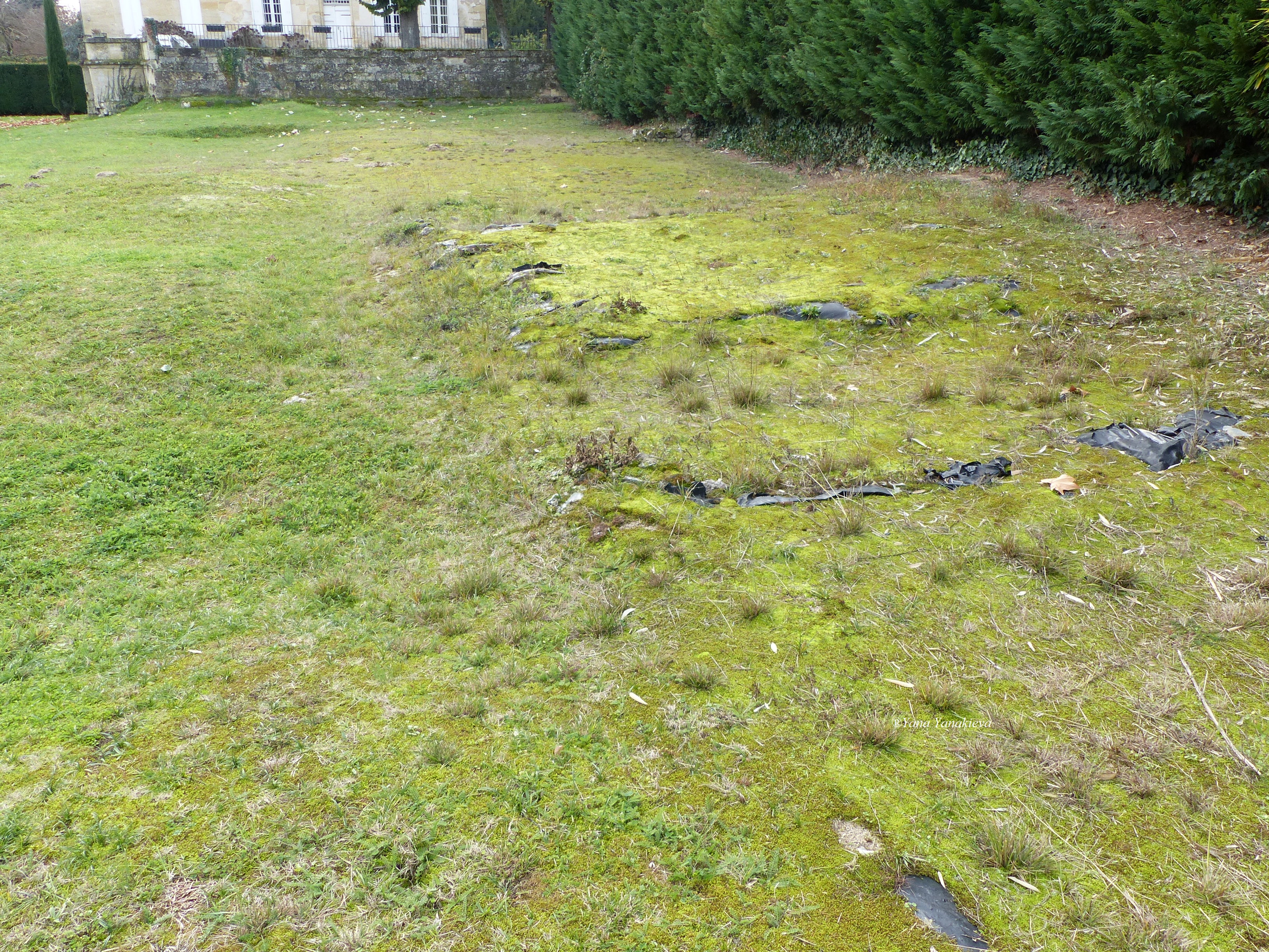 A part of the remains
