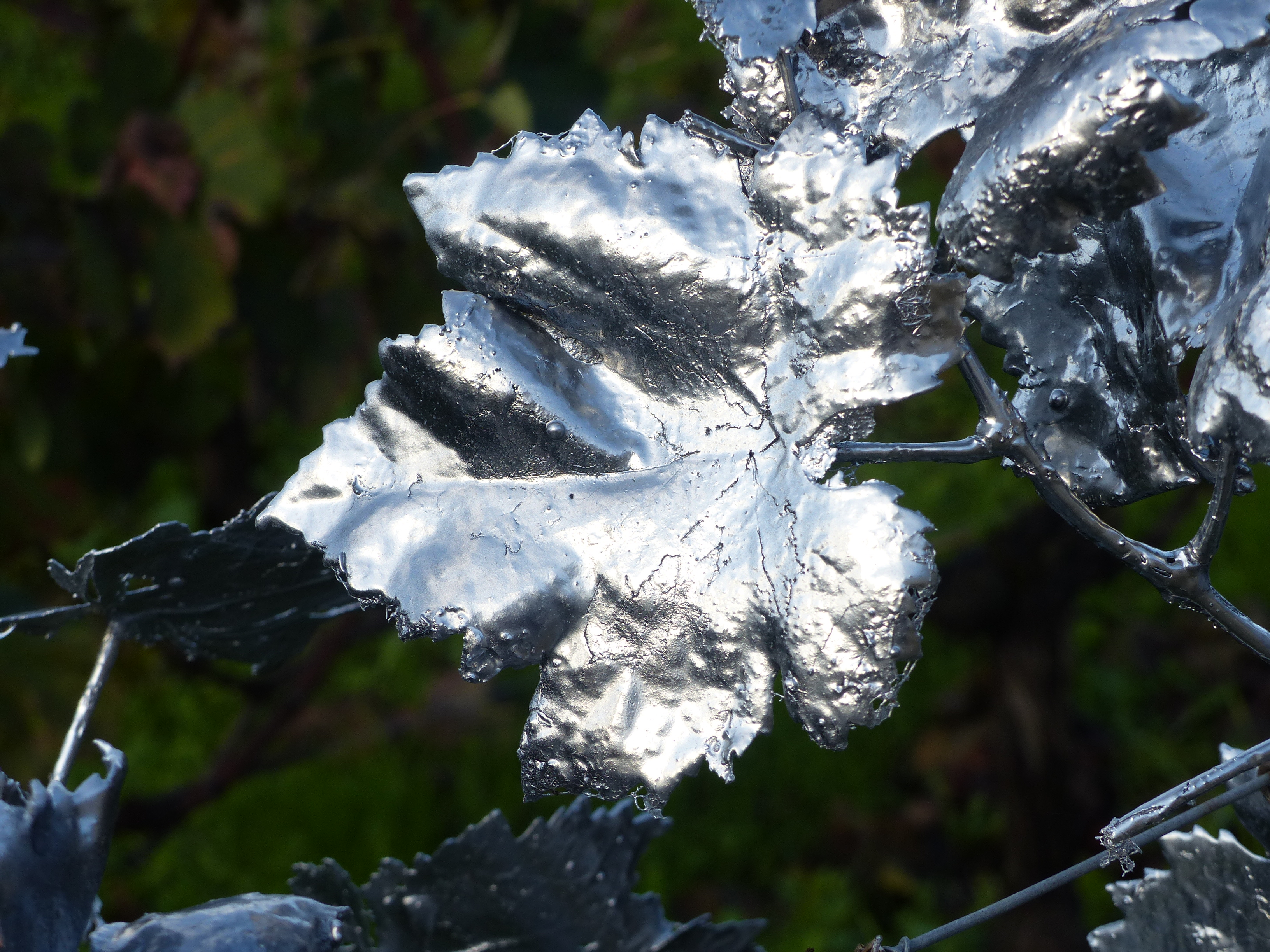 Vine leaf 'Mer-net'