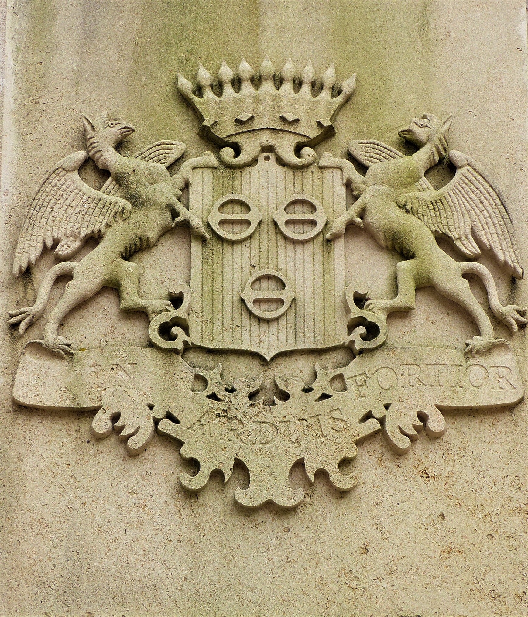 The family coat of arms with the motto "IN ARDIUS FORTIOR"