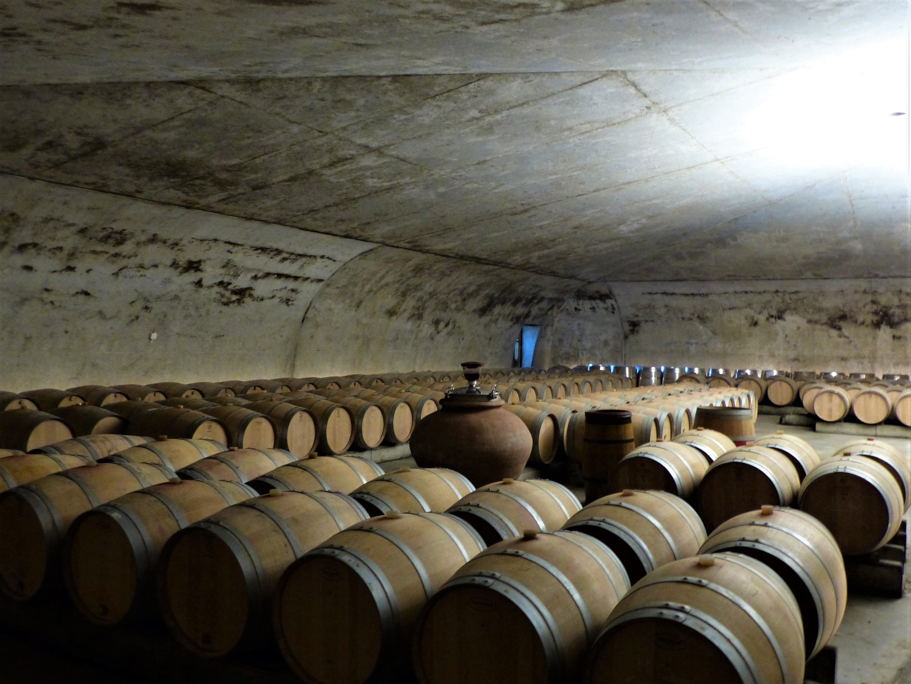 The Wine cellar: the treasure!